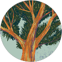 Shyanne Brownfield profile picture